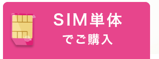 SIM単体の方