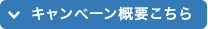 キャンペーン概要こちら