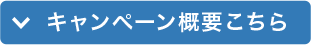 キャンペーン概要こちら