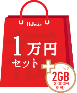 1万円セット+2GB(3,000円相当）