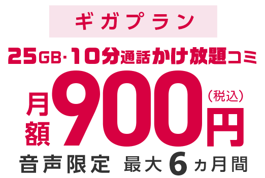 ギガプラン20ギガかけ放題コミ900円。音声限定最大6ヵ月間