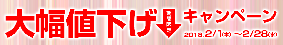 期間限定！大幅値下げキャンペーン 2018/2/1～3/6まで！