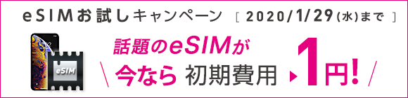初期1円！eSIMお試しキャンペーン