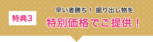 特典3 早い者勝ち！掘り出し物を特別価格でご提供！