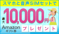 IIJmioサプライ サマーセール
