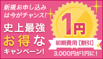 今が史上最強おトク!