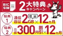 BIC SIM 2大特典キャンペーン