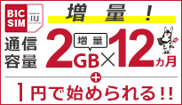 通信容量2GB×12ヵ月増量キャンペーン