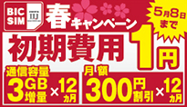 BIC SIM 3大特典キャンペーン