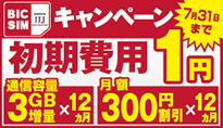BIC SIM 3大特典キャンペーン