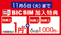BIC SIM 3大特典キャンペーン