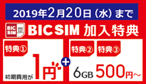 BIC SIM キャンペーン