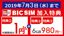 BIC SIM キャンペーン