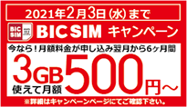 BIC SIM キャンペーン