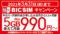 BIC SIM キャンペーン