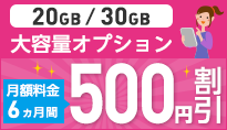 BIC SIM キャンペーン