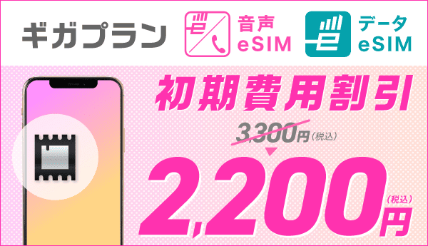 eSIM初期費用1,100円割引キャンペーン