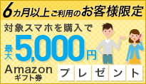 IIJmioご愛顧感謝キャンペーン