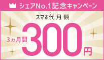 シェアNo1記念 人気スマホ100円キャンペーン