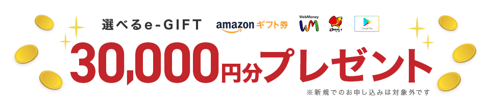 選べるe-GIFT 30,000円分プレゼント