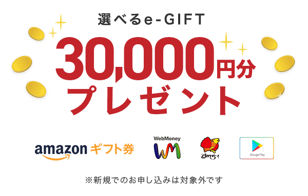 選べるe-GIFT 30,000円分プレゼント
