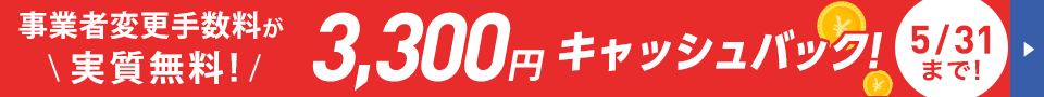 IIJmioひかりキャッシュバックキャンペーン！