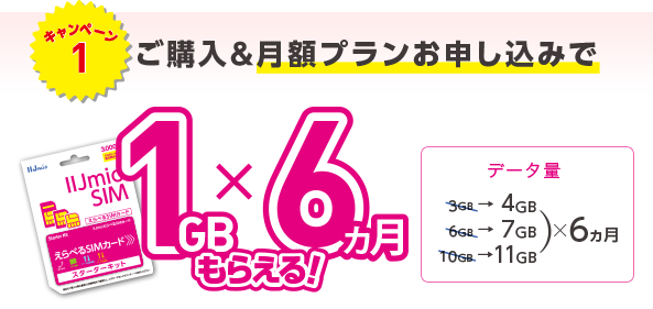 1GBx6ヵ月もらえる!