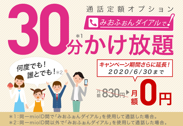 通話定額オプション  最大30分かけ放題