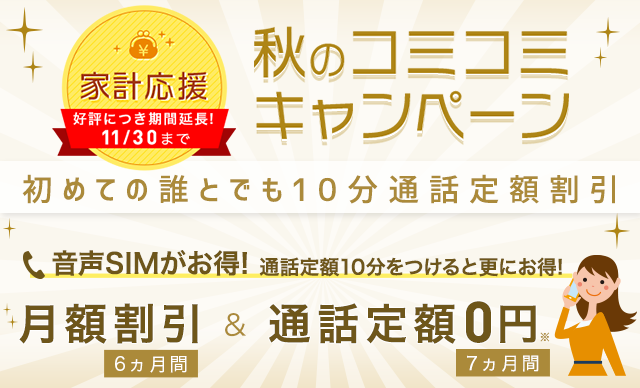 通話定額オプション  最大30分かけ放題