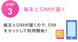 端末とSIMが届く