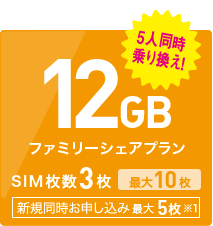 12GB