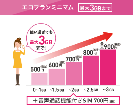 エコプランミニマム 3GB