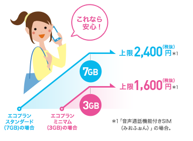 エコプランスタンダード 7GB 