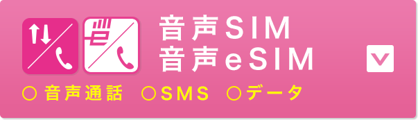 Iijmioえらべるsimカード 格安sim 格安スマホのiijmio