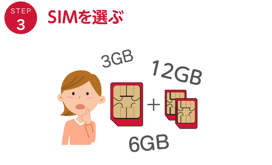 SIMを選ぶ