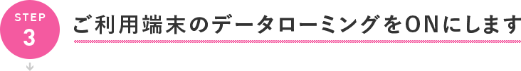 ご利用端末のデータローミングをONにします