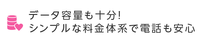 データ容量も十分！シンプルな料金体系で電話も安心