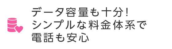 データ容量も十分！シンプルな料金体系で電話も安心