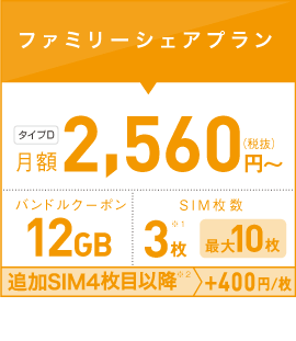12gb