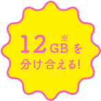 12GBを分け合える!