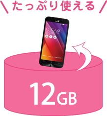 もちろん1台で12GBも!
