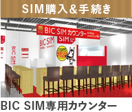 BICSIM専用カウンター