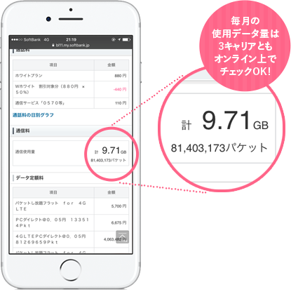毎月の使用データ量は3キャリアともオンライン上でチェックOK!