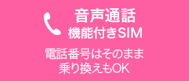 音声通話機能付き