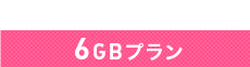 6GBプラン