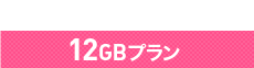 12GBプラン