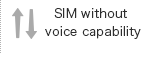 SIM without voice capability