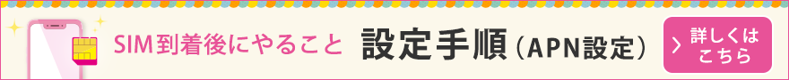設定手順(APN設定)