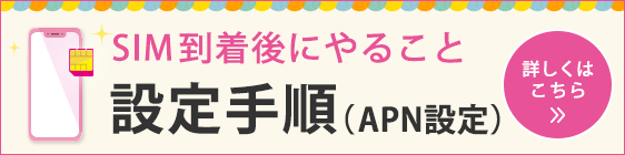 設定手順(APN設定)