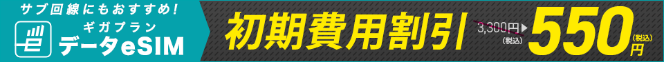 データeSIM初期費用割引